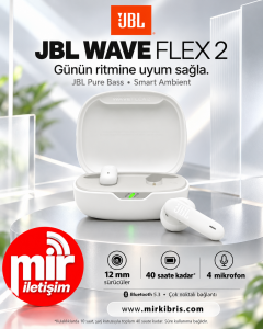 JBL Wave Flex 2 Kablosuz Kulaklık
