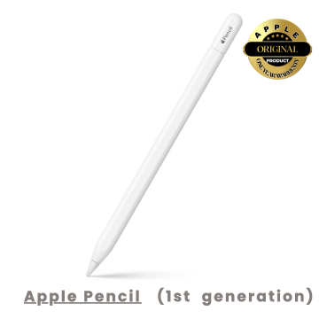 Apple Pencil USB-C (1st Gen)